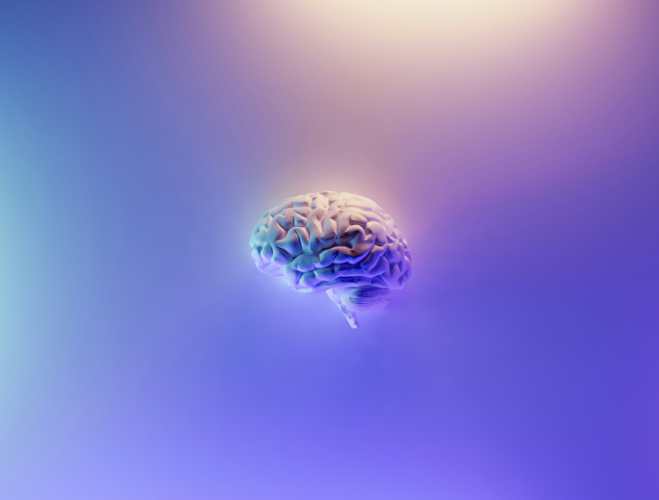 3D render of human brain (Photo by Milad Fakurian on Unsplash)